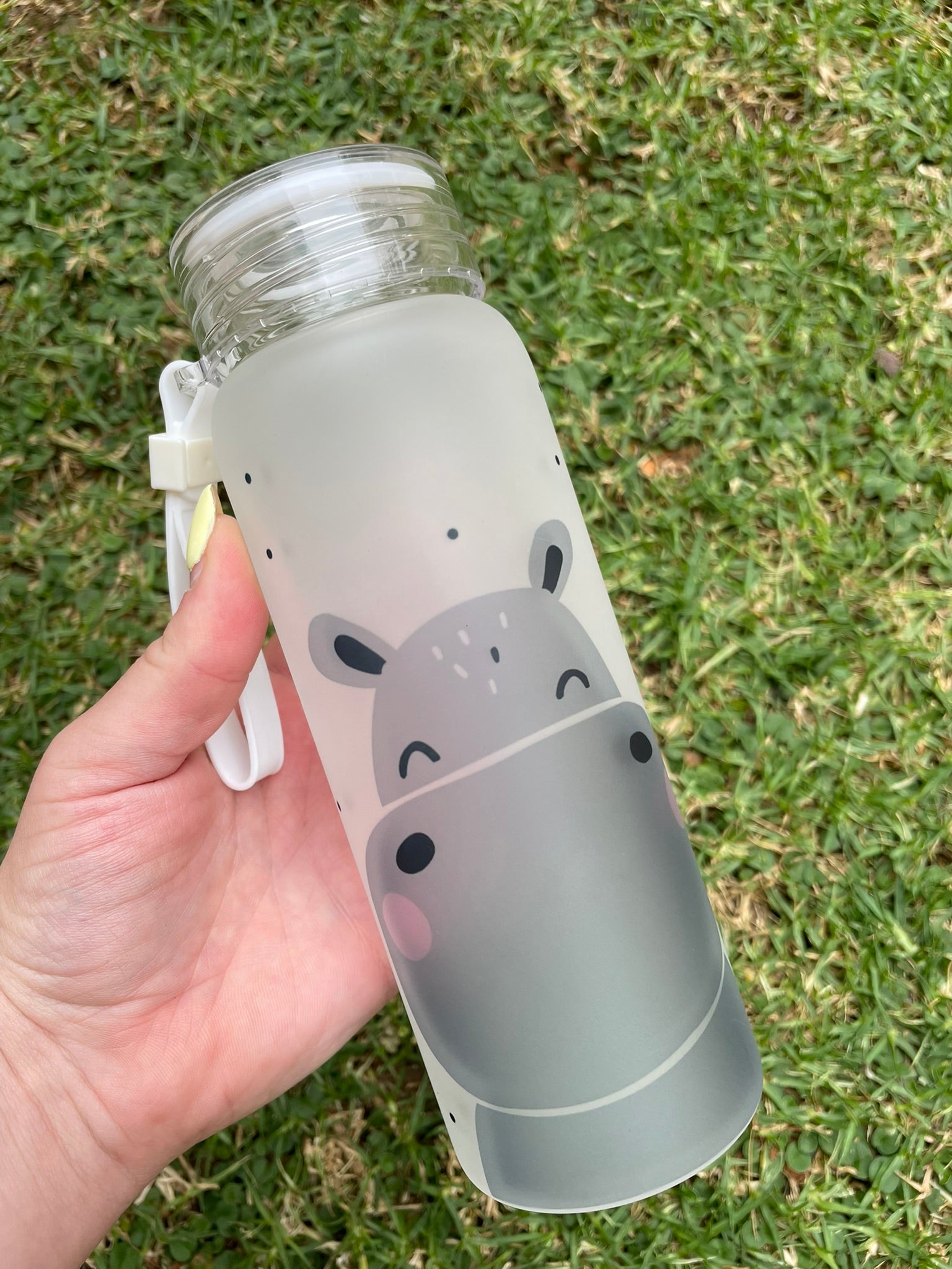 Frosted Water Bottle