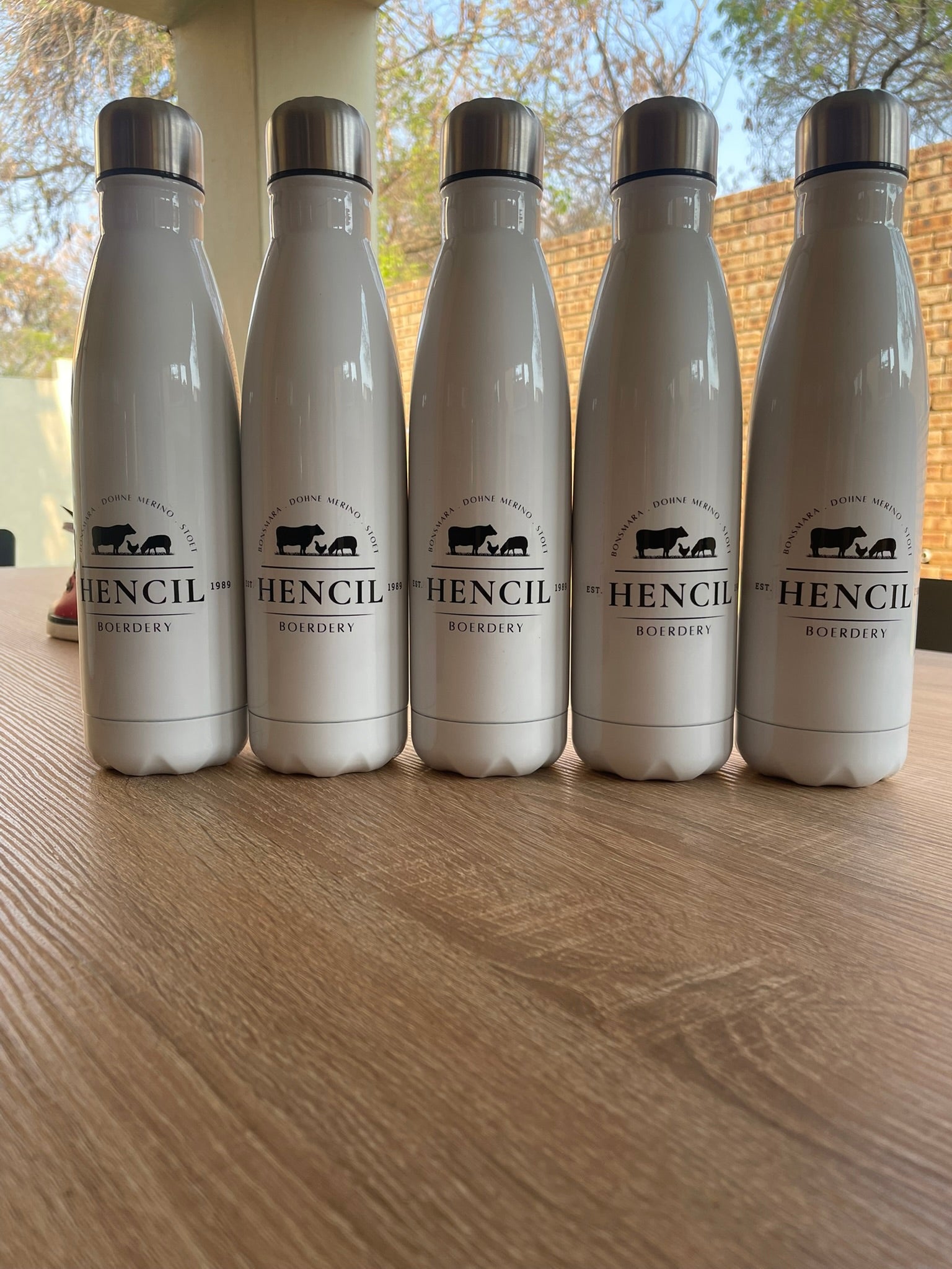 Double Walled Water Bottle (550ml)