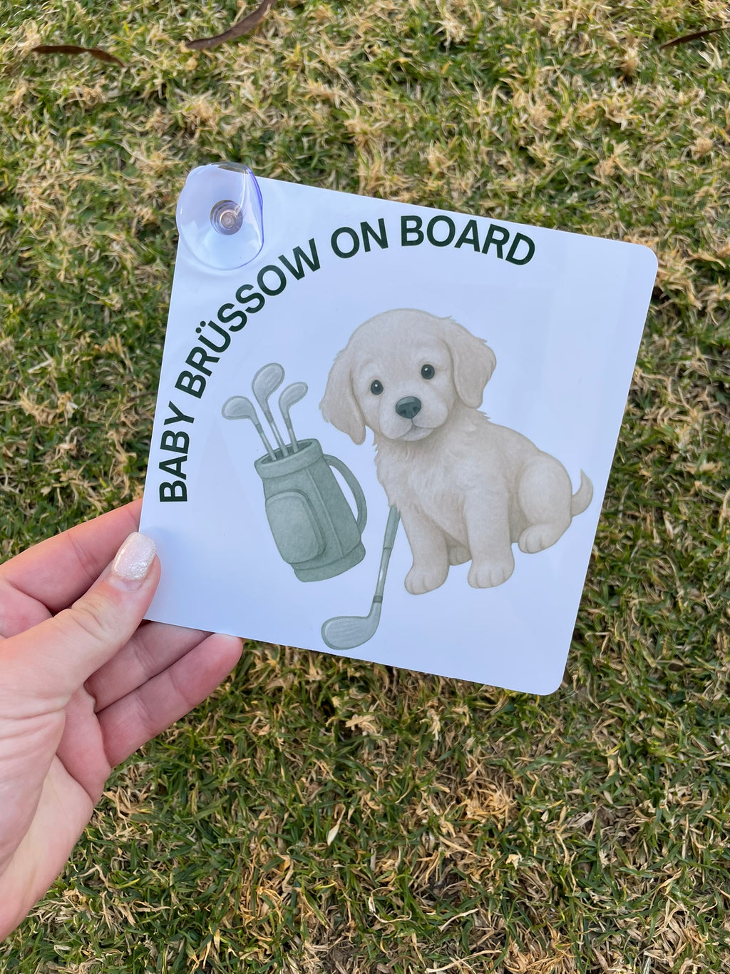 Baby on Board sign