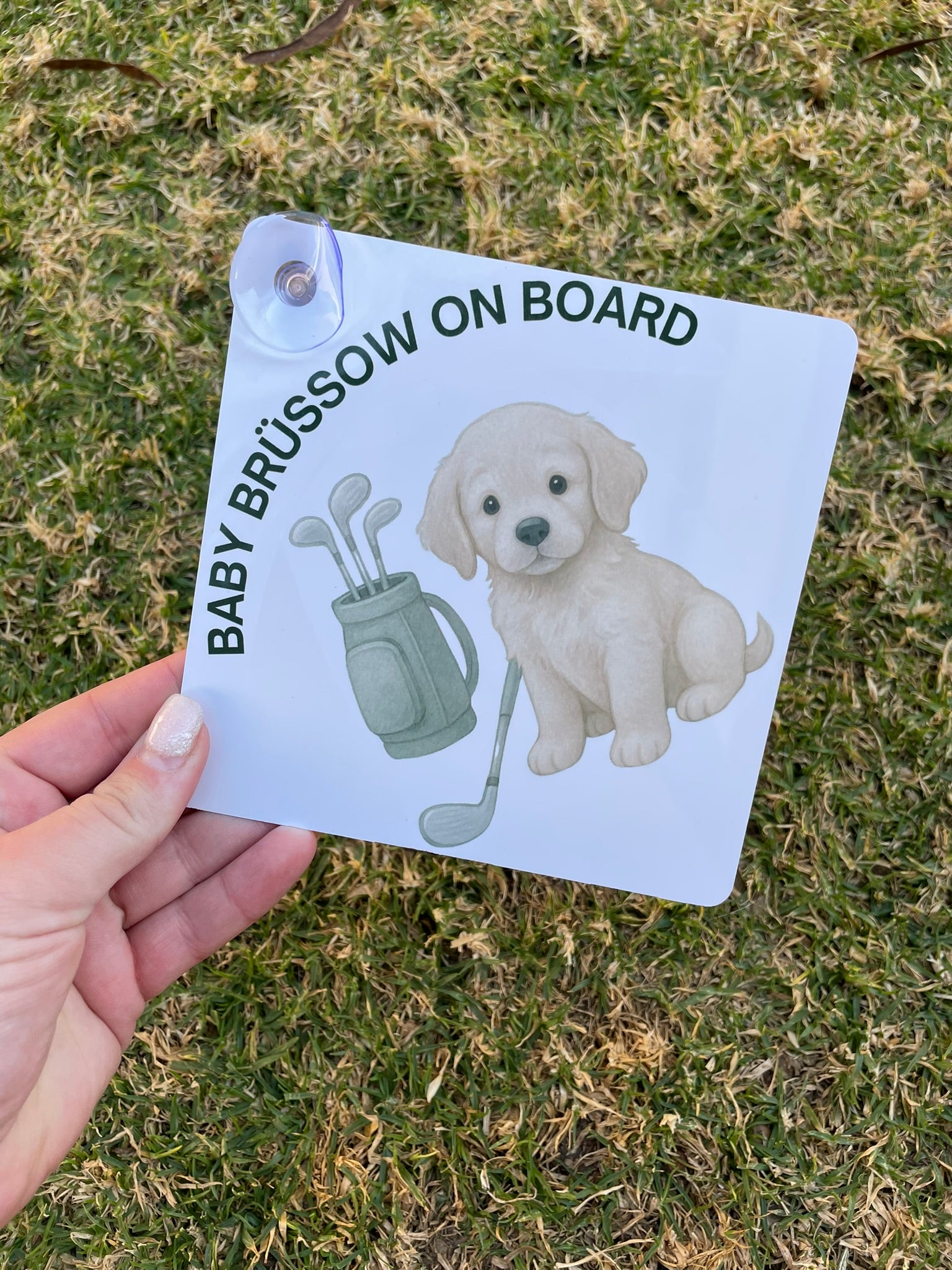 Baby on Board sign